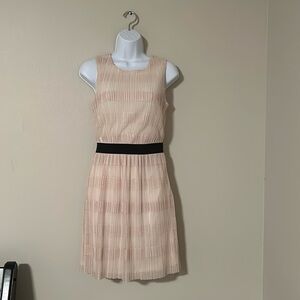 Pim + Larkin | Dress